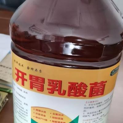 开胃乳酸菌